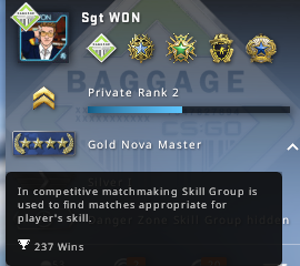 Selling Account Level 26 Prime Wins 237 Gnm Csgo Playing Hours 2487 Gta V Cs 100 Epicnpc Marketplace