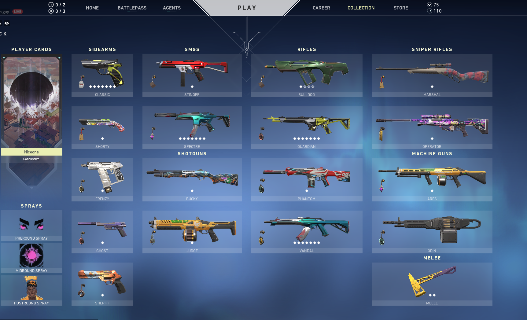 Account Valorant Skins And Rank Plat1 Epicnpc Marketplace